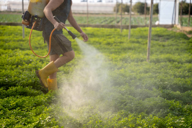 Best Exterminator Services  in Stockton, CA