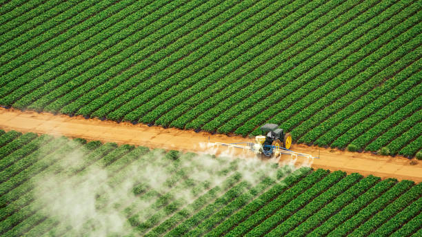 Best Termite Control Services  in Stockton, CA