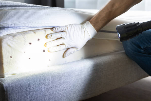 Best Best Pest Control Companies  in Stockton, CA
