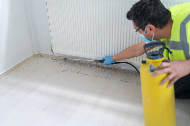 Professional Pest Control in Stockton, CA